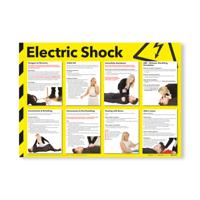 ELECTRIC SHOCK SIGN LANDSCAPE A2