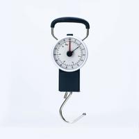 STATUS MECHANICAL LUGGAGE SCALES