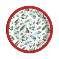 TRAD XMAS PARTY PAPER PLATES X6 PK12