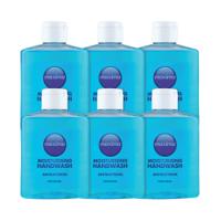 Antibacterial Soap 250ml (Pack Of 6) 0604002