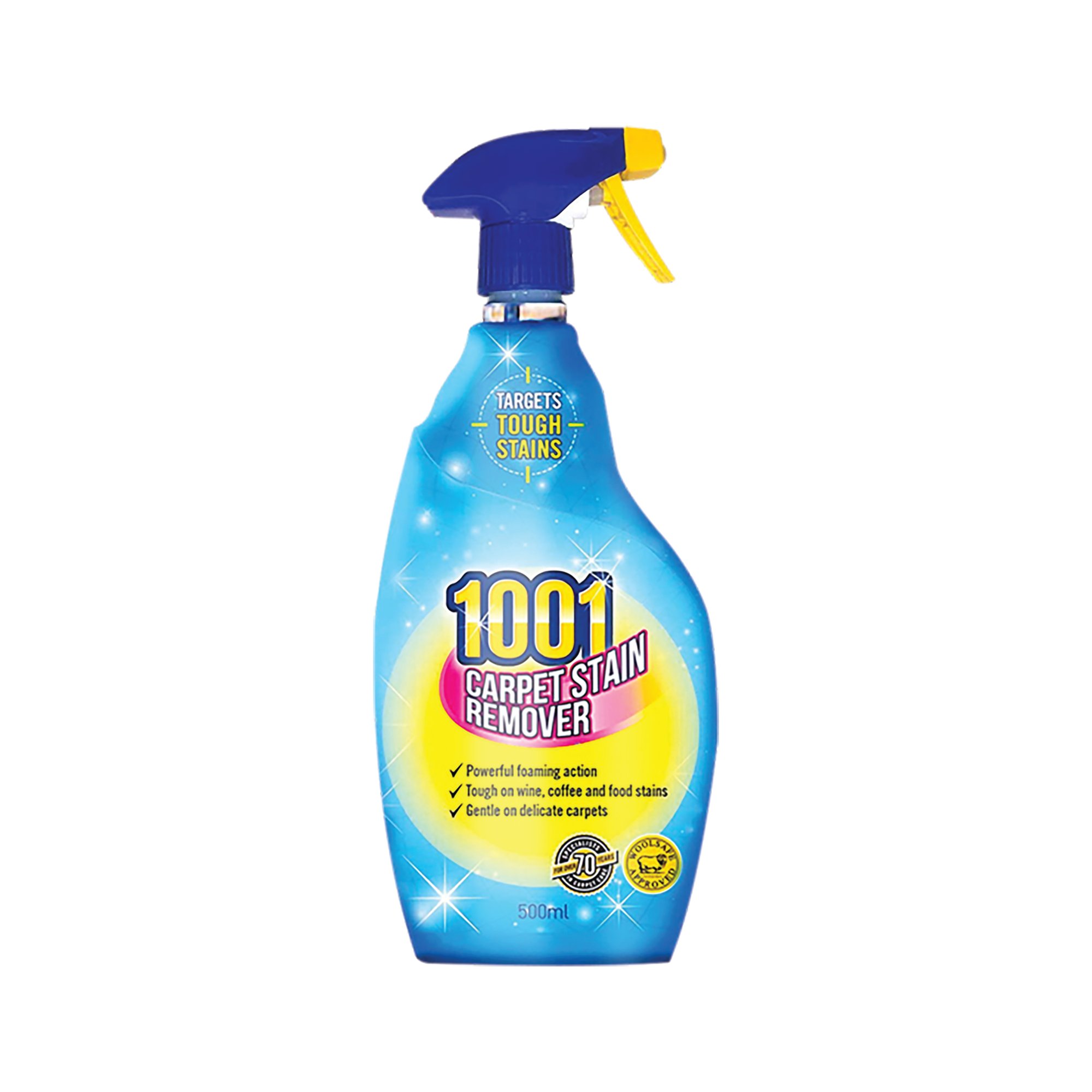 1001 CARPET STAIN REM SPRY 500ML PK6