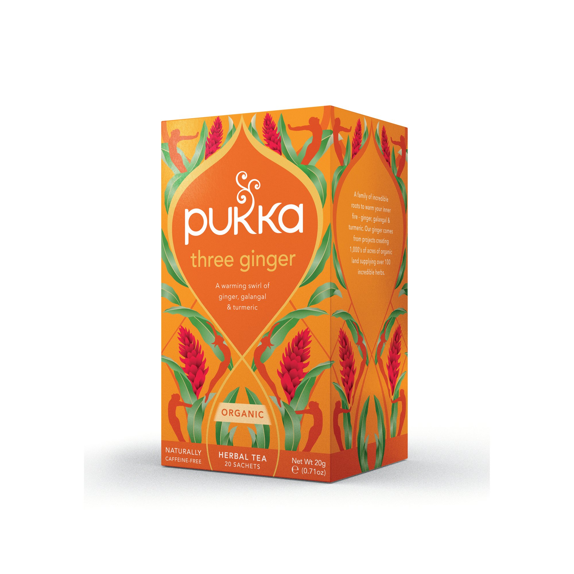 PUKKA THREE GINGER TEA BAGS PK20