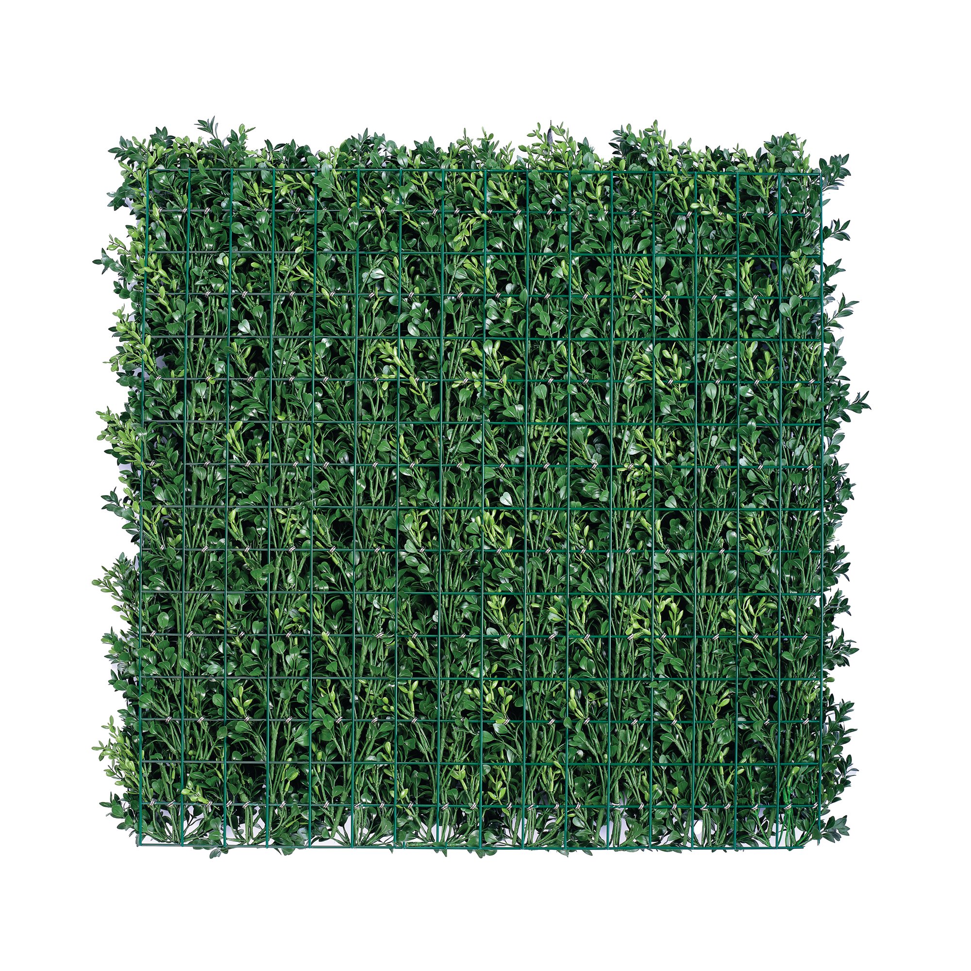 LUXURY BOXWOOD PANEL 800X800MM