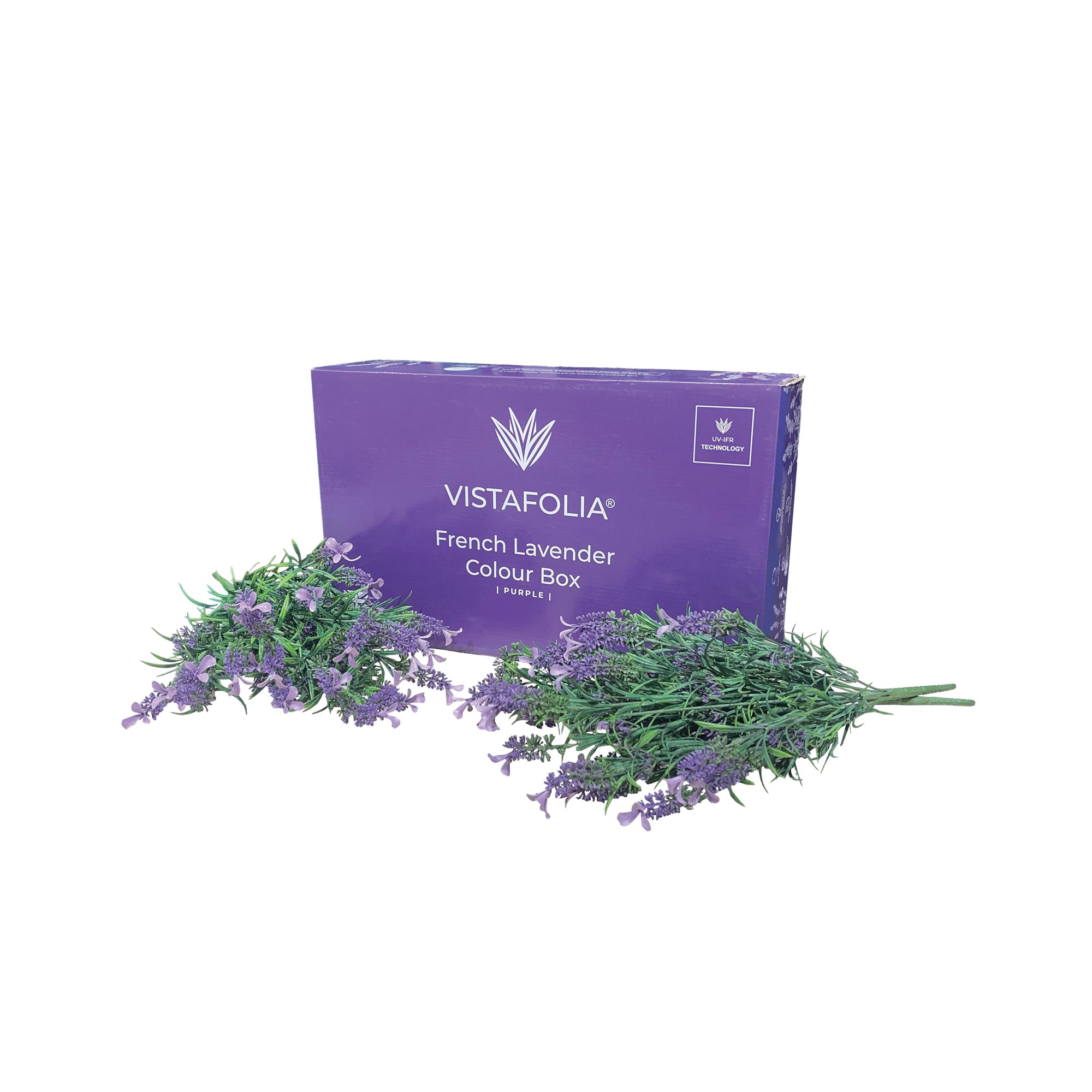 FRENCH LAVENDER PURPLE COLOUR PK10