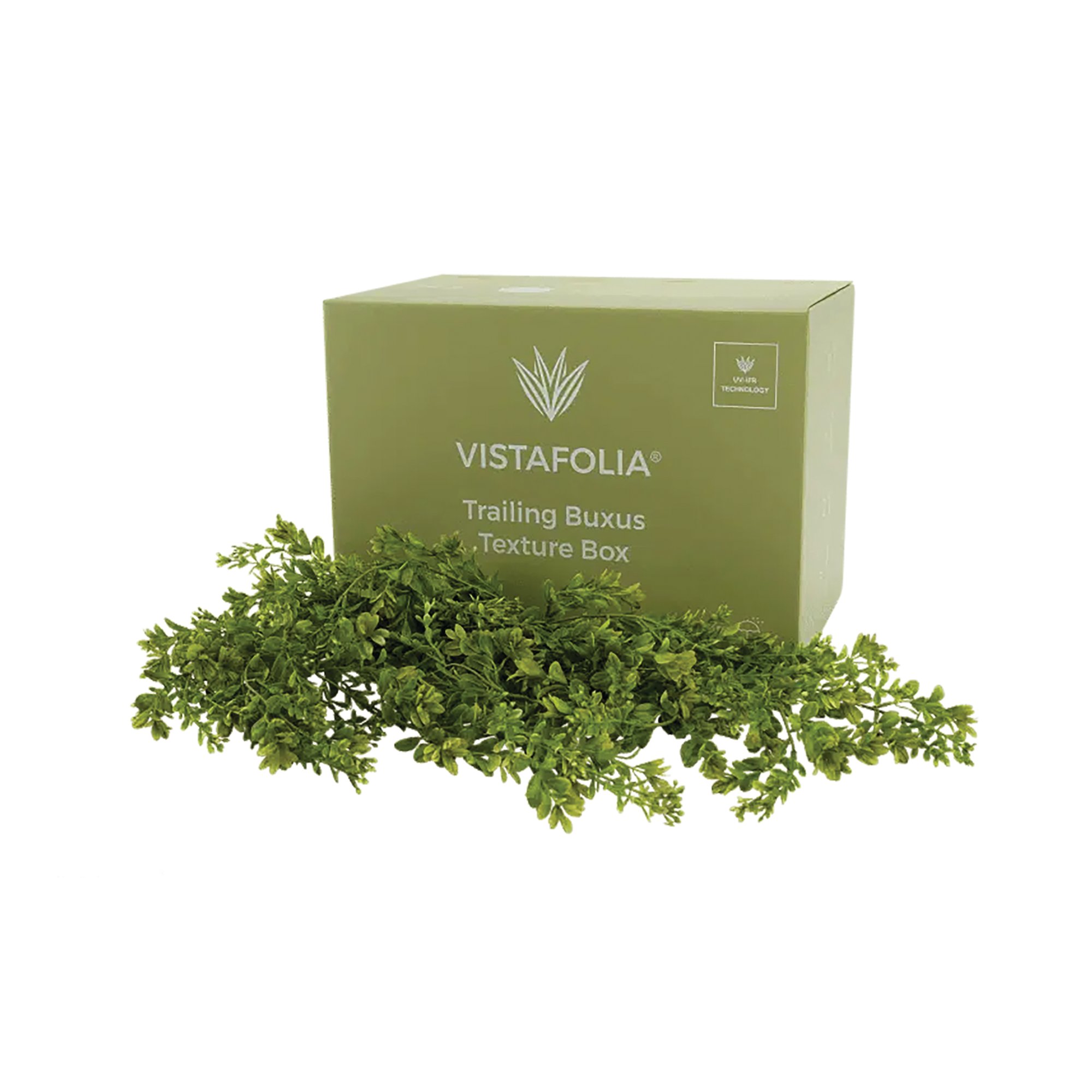 TRAILING BUXUS TEXTURE BOX PK9