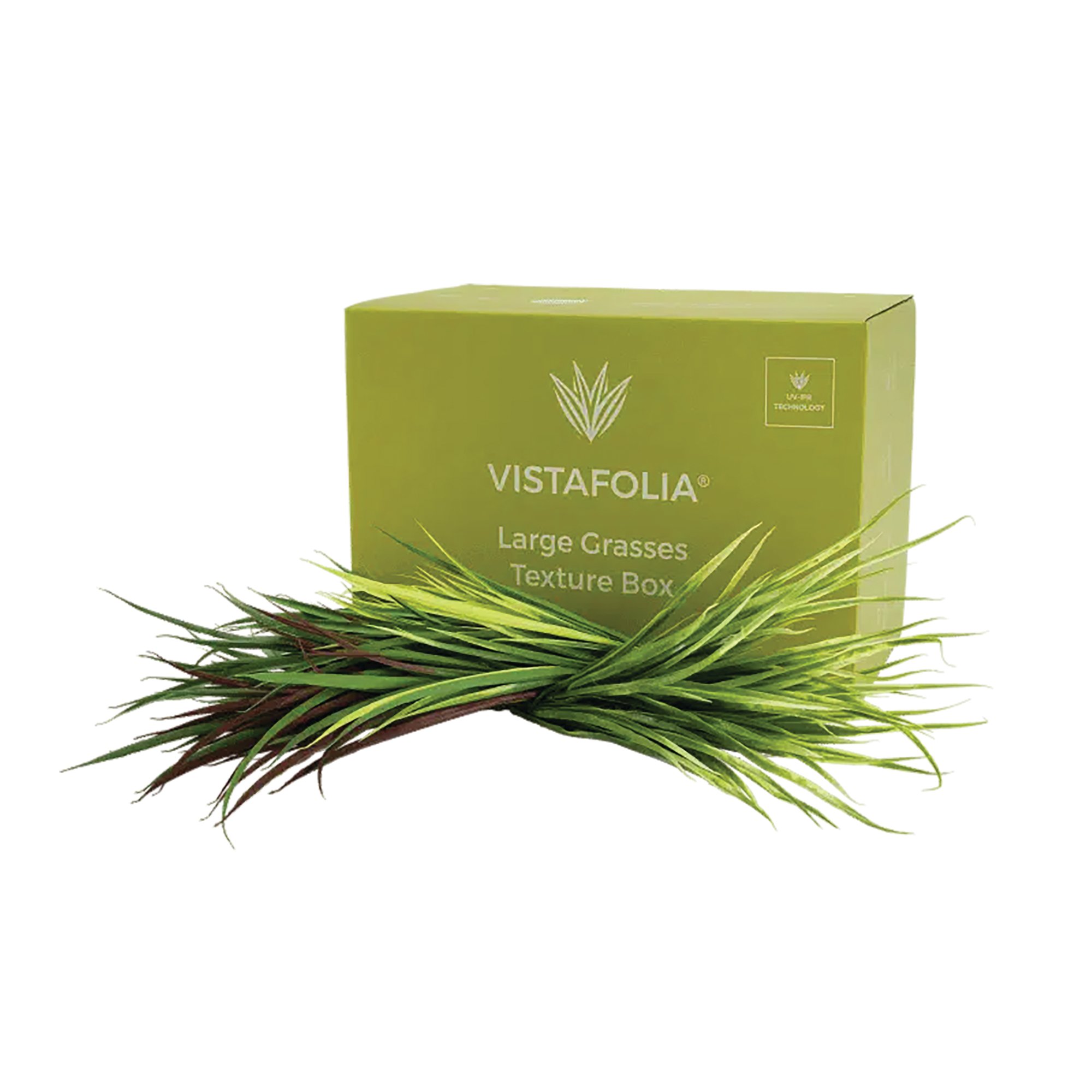 LARGE GRASSES TEXTURE BOX PK18